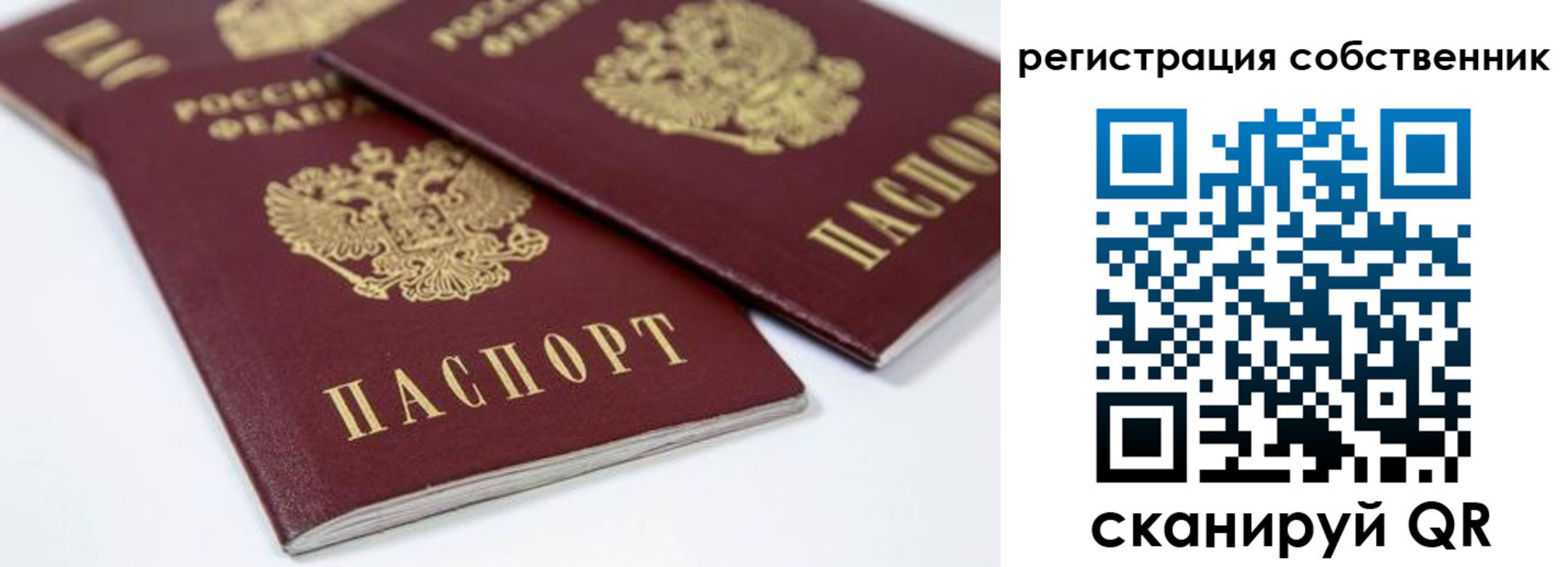 прописка для школы в Новосибирской области